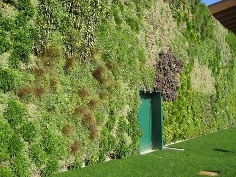 vertical garden