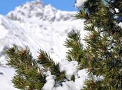 Livigno, Paese Cuore