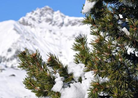 Livigno, Paese del Cuore