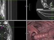 L'imbalsamazione, questa sconosciuta....