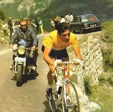 eddy-merckx