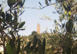 La rocca di San Miniato