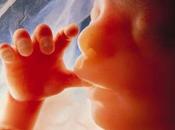 North Dakota: limite aborto abbassato alla sesta settimana