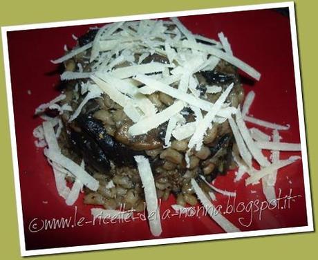 Orzo ai funghi con scaglie di parmigiano (5)