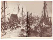 deliziosa ricetta mare palati sopraffini…