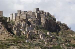 Socotra: le piante rare dell’isola dello Yemen