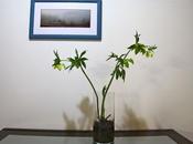 oggi sono quarantasette