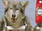 Rischiosissimo cambio Spice