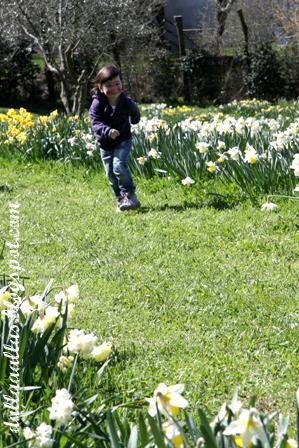 Idee Pasqua 2013, andiamo a caccia di uova pasquali