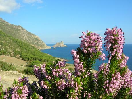 Nuovi orari per l'ufficio dell'Area Marina Protetta di Marettimo