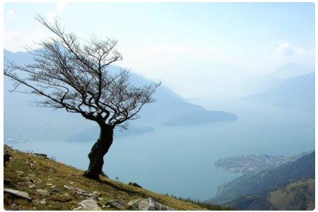Una vacanza sul lago di Como, in agriturismo