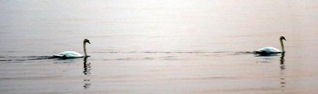 a proposito della gardesana occidentale