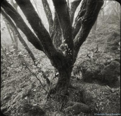 Pinhole Day 2013 a Tuscania