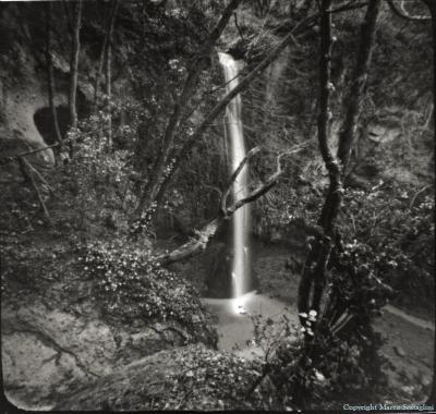 Pinhole Day 2013 a Tuscania