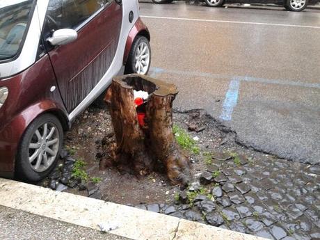 Gli alberi mozzati e lasciati lì a fare da cestino per i rifiuti. Una cosa che se la vedi riconosci subito che la foto si riferisce a Roma...