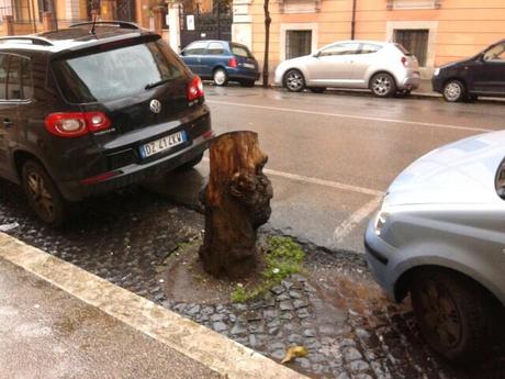 Gli alberi mozzati e lasciati lì a fare da cestino per i rifiuti. Una cosa che se la vedi riconosci subito che la foto si riferisce a Roma...