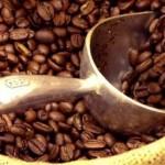 Icaria, il segreto della longevità è il caffè bollito