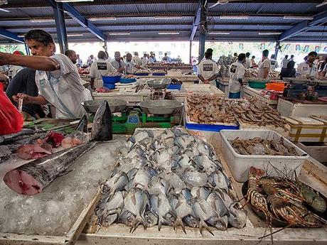 Dubai Fish Market #06