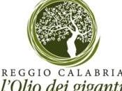 Agrifood Reggio Calabria l’Olio Giganti