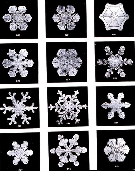 snowflakes