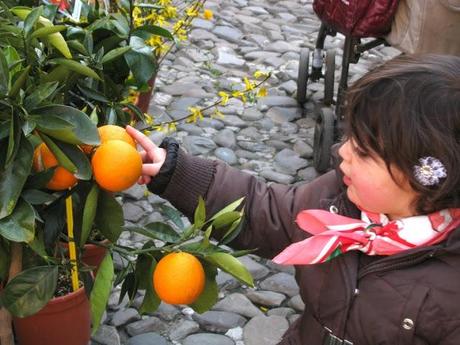 LA PRINCIPESSA E LA REGINA - I FIORI E I TACCHI - CROSTATA ALLA CREMA CON FRAGOLE