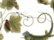 Google doodle celebrare Anna Maria Sibylla Merian