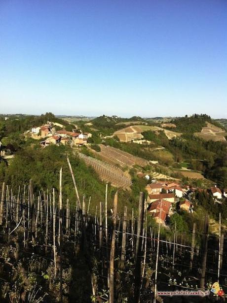 Langhe