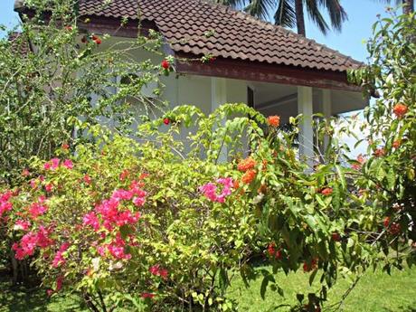 Il giardino nella nostra casa in Manado