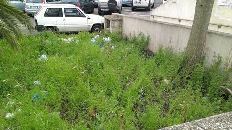 Grottarossa, proprio una bella stazioncina che ti fa sentire orgoglioso di scegliere il mezzo pubblico