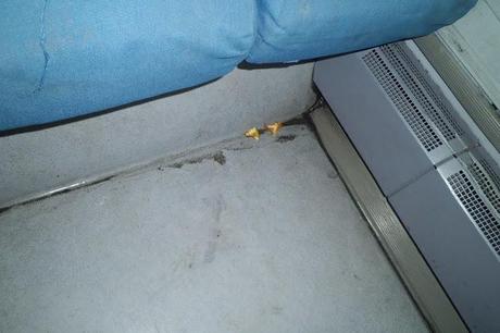 Riceviamo e pubblichiamo da un dipendente Atac (o Tevere TPL) che ci chiede di restare anonimo: i sedili degli autisti dei bus...