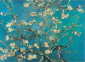 MUSEO VAN GOGH AD AMSTERDAM: PITTURA E OPERE DEL GENIO OLANDESE