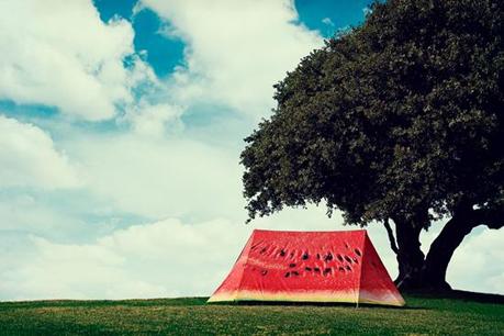 Le Tende creative della FieldCandy