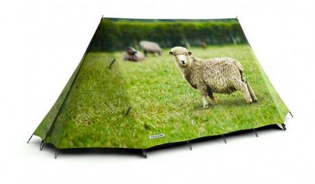 Le Tende creative della FieldCandy