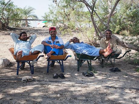 Workers in wheelbarrow