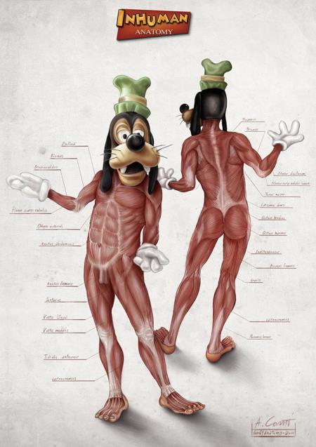Illustrated-Anatomy-of-Popular-Disney-Characters