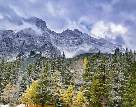 La Natura fotografata da Philip Kuntz.