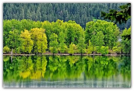 La Natura fotografata da Philip Kuntz.