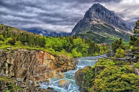 La Natura fotografata da Philip Kuntz.