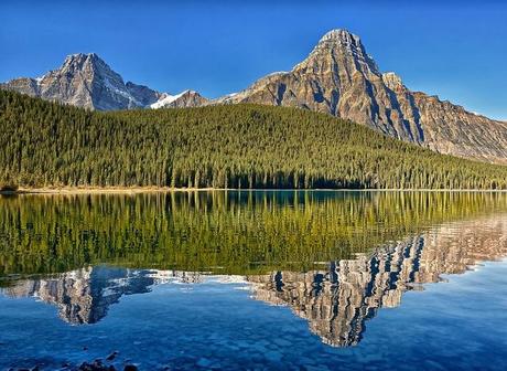 La Natura fotografata da Philip Kuntz.