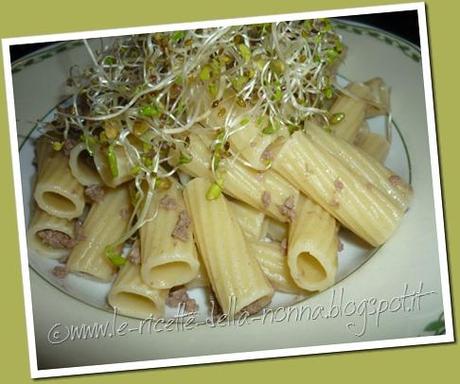 Tortiglioni con manzo macinato e germogli misti (6)