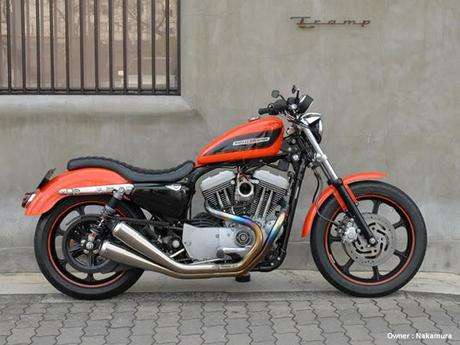 Harley XL 1200 R Sportster 2005 by Tramp