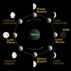 I lavori dell’orto (su balcone) di marzo