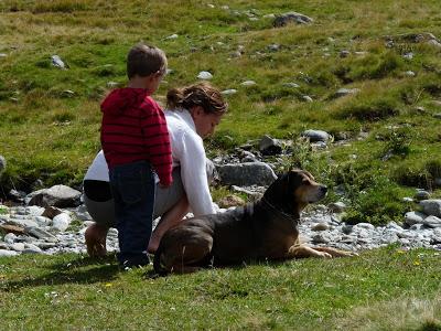 Chi non ha mai posseduto un cane, non può sapere che cosa significhi essere amato (cit.Schopenhauer)