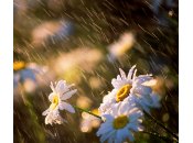 Irritabili, stressati ansiosi? Soffrite primavera