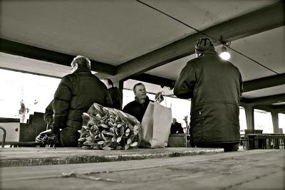 mercato dei fiori, Viareggio