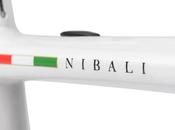 Specialized Limited Edition
