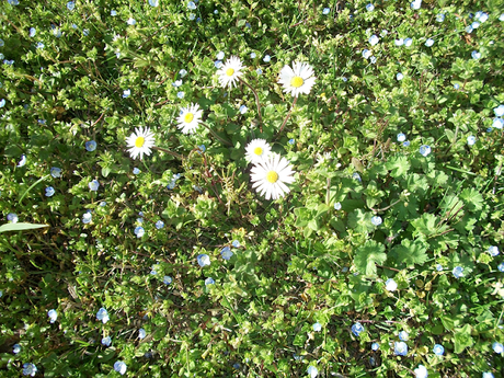 foto e ricordi di una Pasqua felice