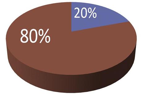 Il principio di Pareto (la legge 80/20)