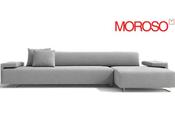 Lowland Moroso