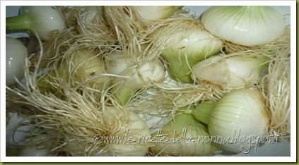 Tortiglioni con cipolle al forno in agrodolce (1)